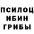 Галлюциногенные грибы Cubensis Ade Saepudin