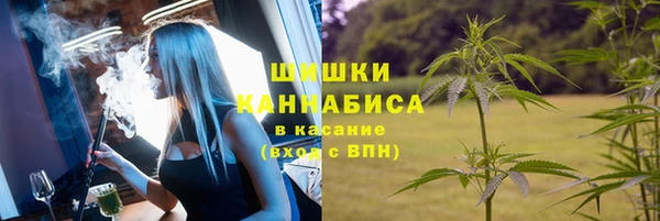 ГАЛЛЮЦИНОГЕННЫЕ ГРИБЫ Алексин