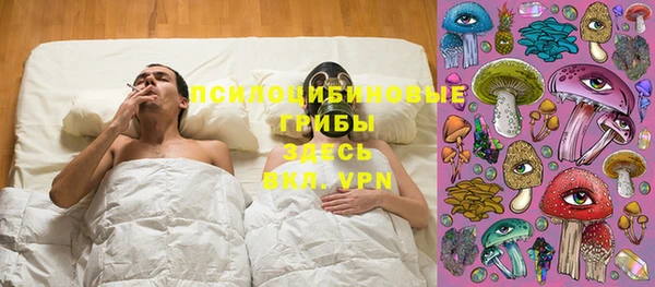 ГАЛЛЮЦИНОГЕННЫЕ ГРИБЫ Алексин