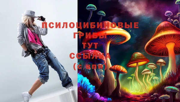 бутират Алзамай