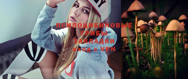 ГАЛЛЮЦИНОГЕННЫЕ ГРИБЫ Алексин