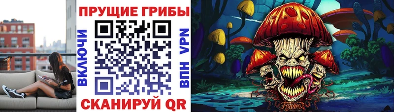 Галлюциногенные грибы ЛСД  Удомля 